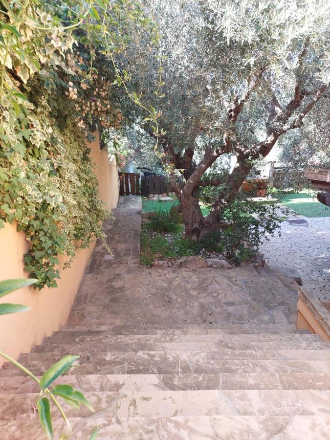 Villa L'Orchidea Capitana Esterno foto